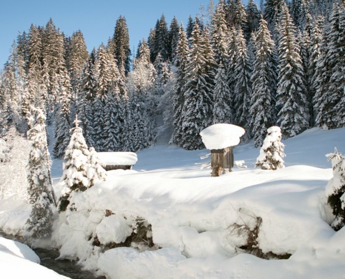 Winter paradise Leogang